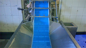 Food Handling & Processing Equipment